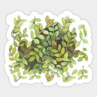 Ash Tree Leaves Sticker